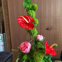 画像1059