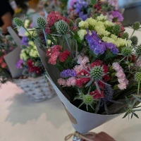 画像1131