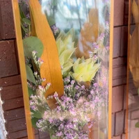 画像1133