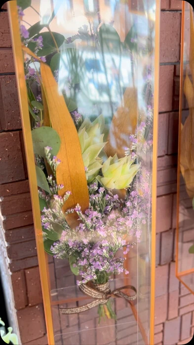 画像1133