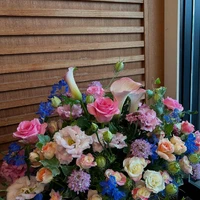 画像1228