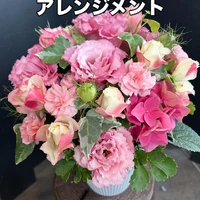 画像1230