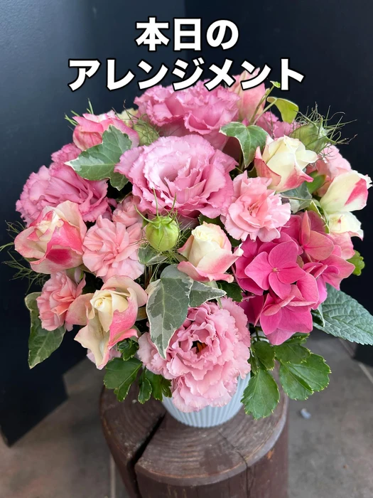 画像1230