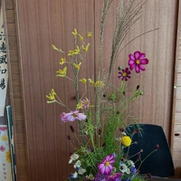 画像1425
