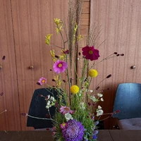 画像1426