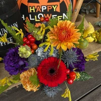 画像1495