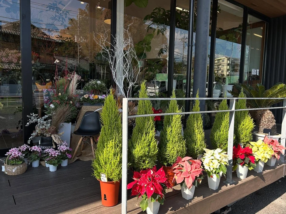 画像1553