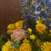 画像1628