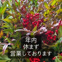 画像1659