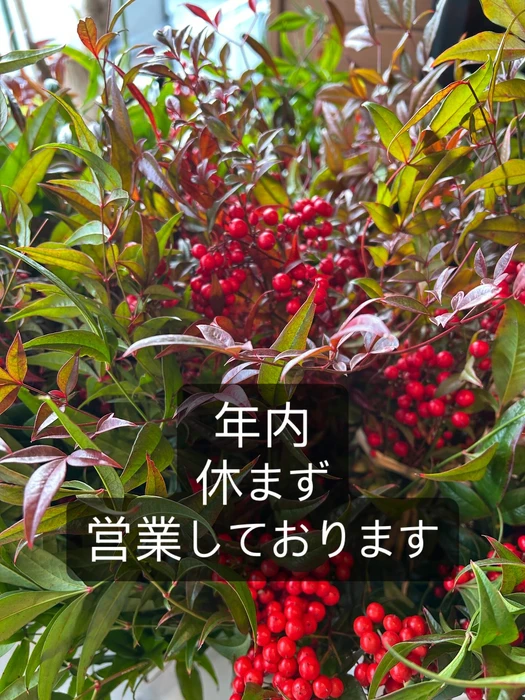 画像1659