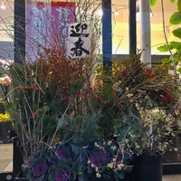画像1673