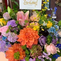 画像1815