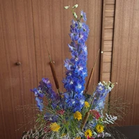 画像2263