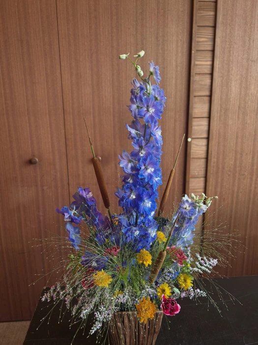 画像2263