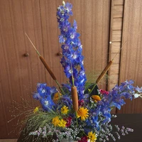 画像2264