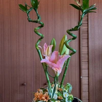 画像2270