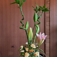 画像2271