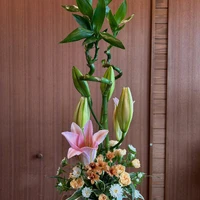 画像2272