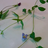 画像2281