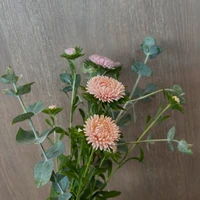 画像2282