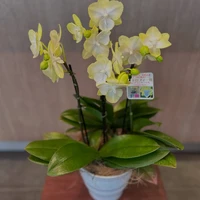 画像2310