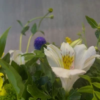 画像2347