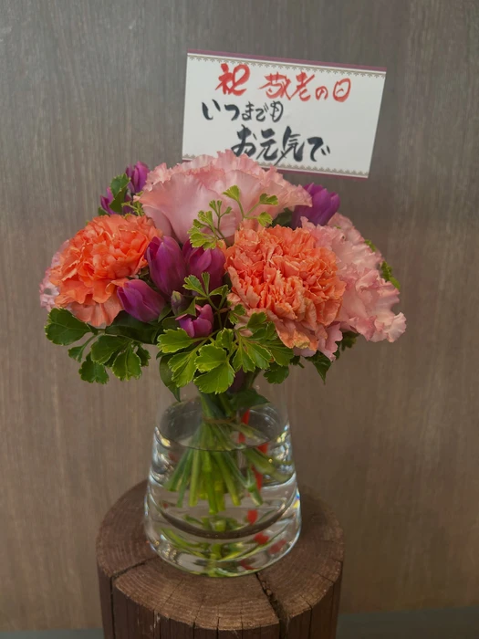 画像2417
