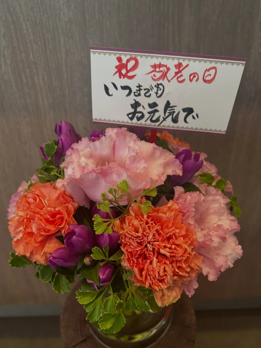 画像2418