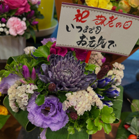画像2427