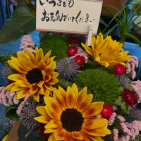 画像2429