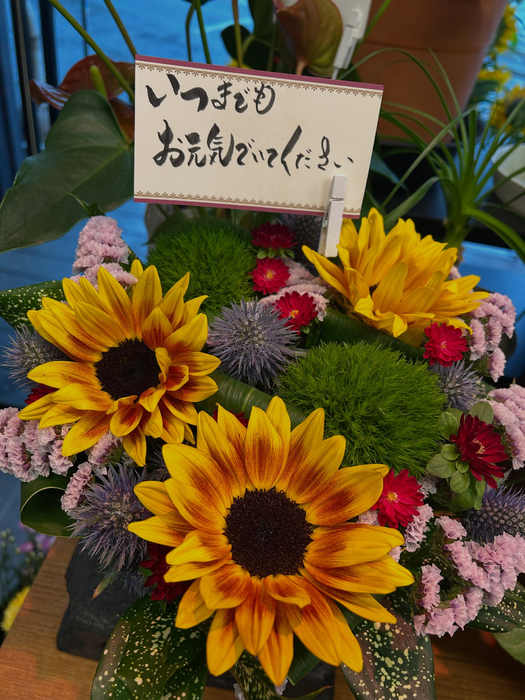 画像2429