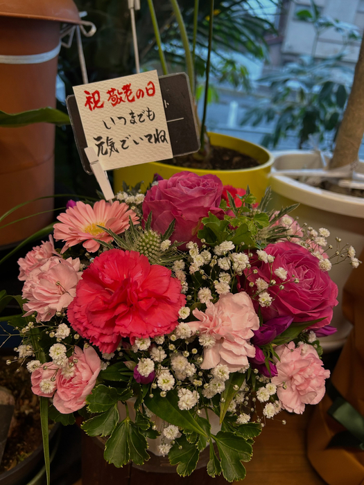 画像2430