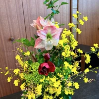 画像272