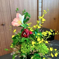 画像273