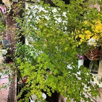 画像456