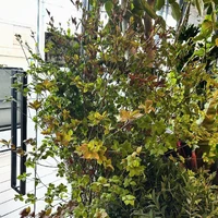 画像457