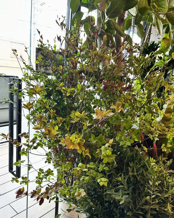 画像457
