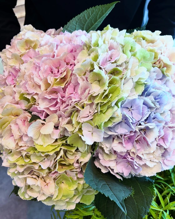 画像460