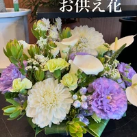 画像477