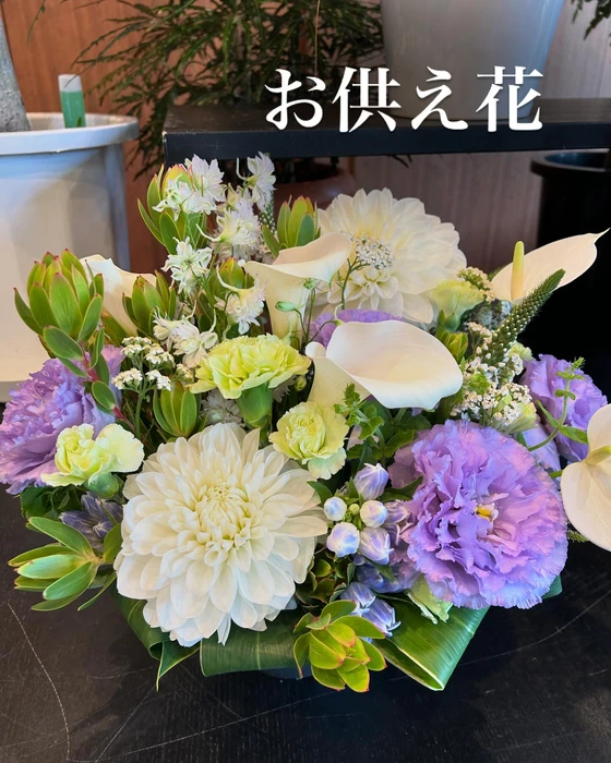 画像477