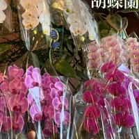 画像478