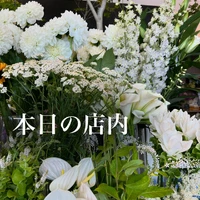 画像479
