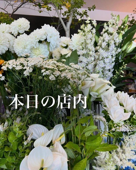 画像479