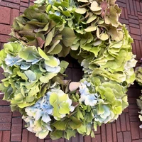 画像488