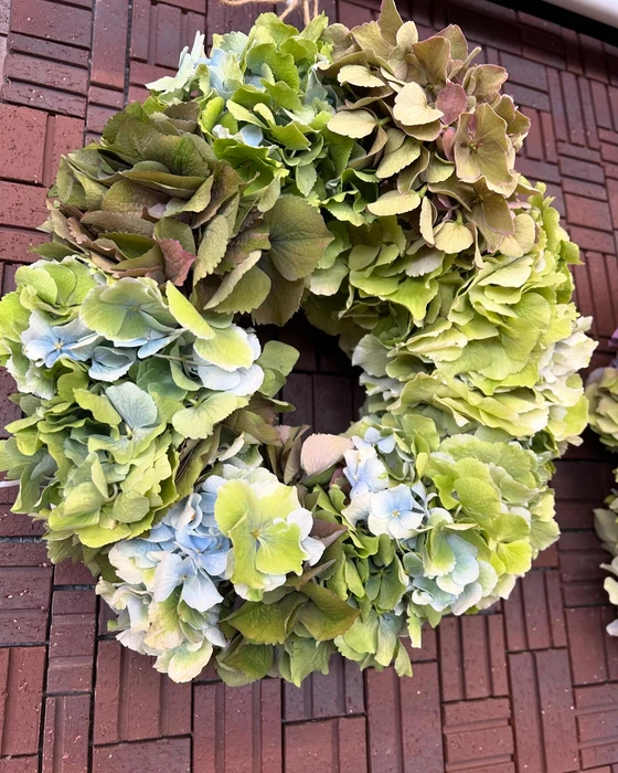画像488