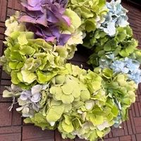 画像489