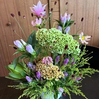 画像540