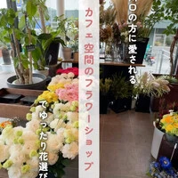 画像544