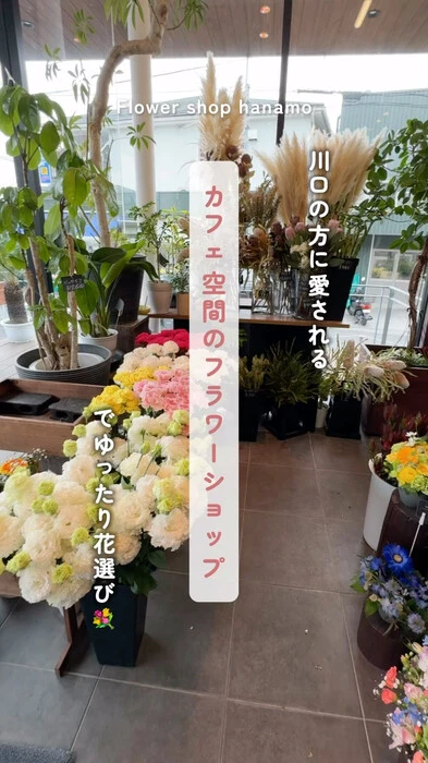 画像544