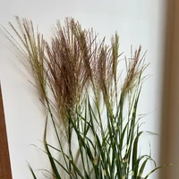画像574